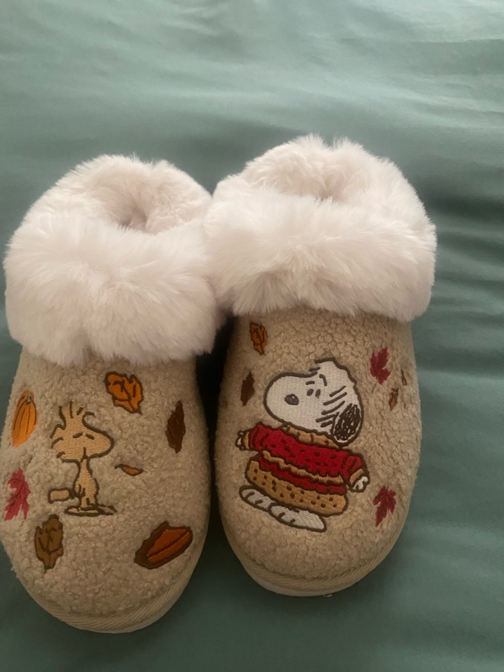 American Eagle Snoopy Fall Slippers